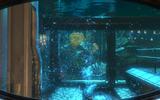 Bioshock2_2010-06-21_18-48-11-71