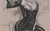 Black_cat_2_eccc_2011_by_terrydodson-d3bze69