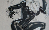 Black_cat_eccc_2011_by_terrydodson-d3b5rzj